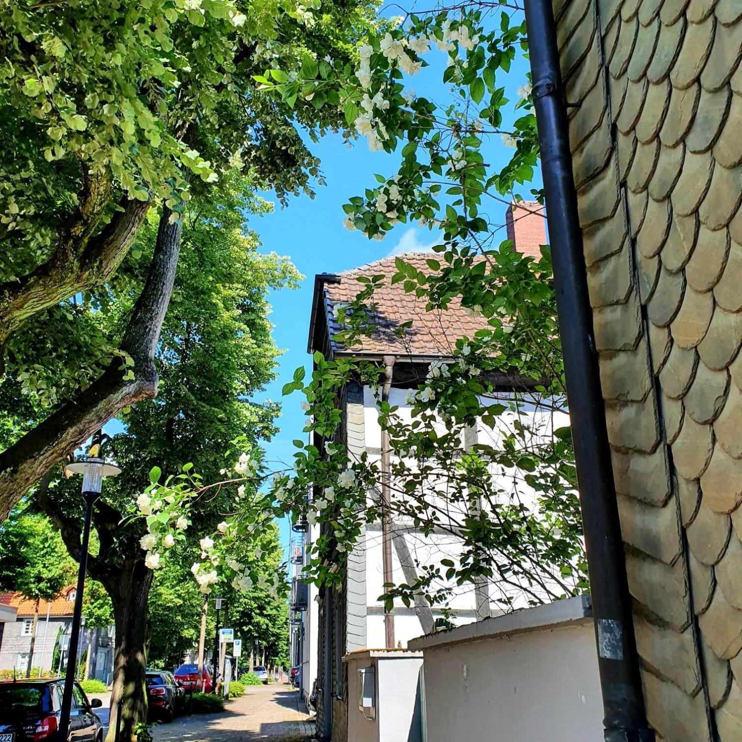 Stadt Land Fluss Plus Arnsberg Exterior foto